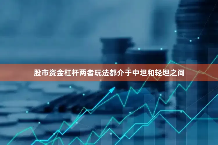 股市资金杠杆两者玩法都介于中坦和轻坦之间